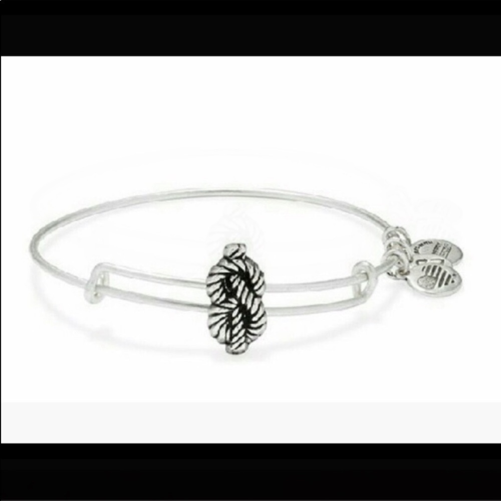 Alex and Ani Sailor's Knot Slider Bangle in Silver